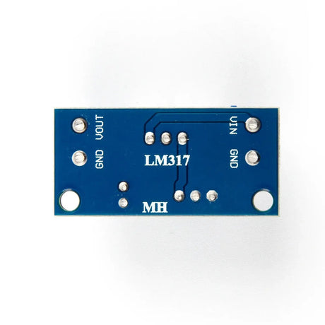 LM317 Module