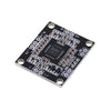 PAM8610-module